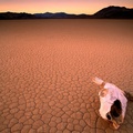 Bone Dry, Death Valley, California